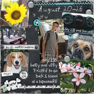 Lisa's Week Thirty Four