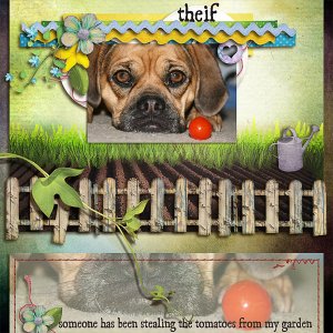 theif