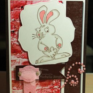 Chocolate Bunny