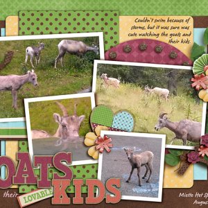 Goats and their kids