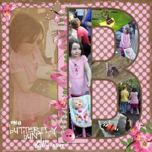 Butterfly Hunt