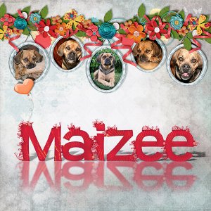 Maizee