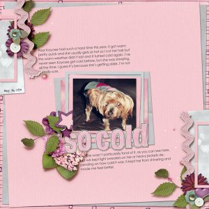 176-09-11-SoColdByCFALBRO