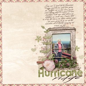 177-09-11-HurricaneRidgeByCFALBRO