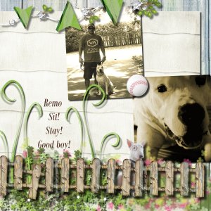Remo Sit! Stay! Good Boy!