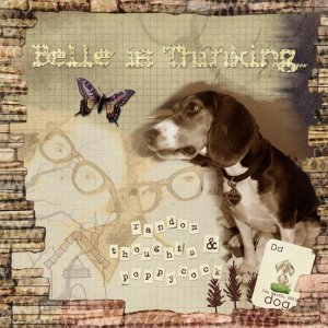 Random Thoughts and Poppycock