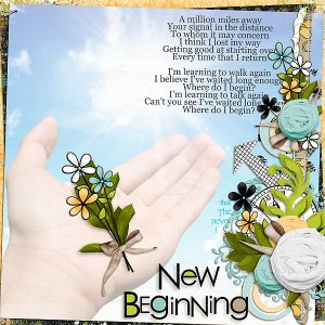 A New Beginning