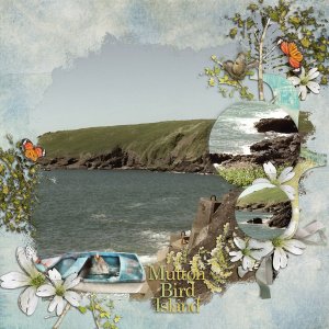 MuttonBird Island
