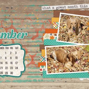 2018 November