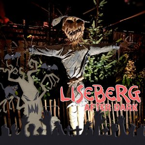 Liseberg after dark