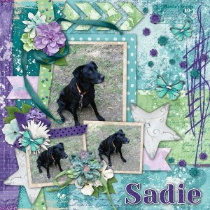 Sadie