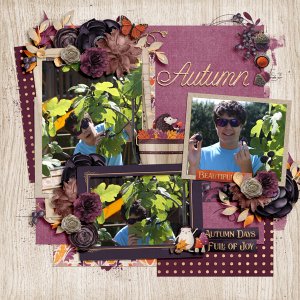 Autumn Glory