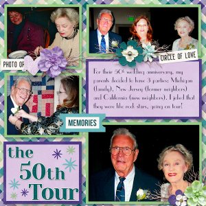 The Anniversary Tour