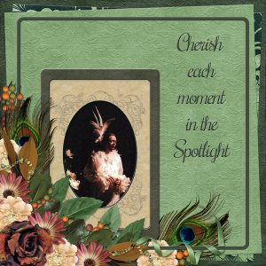 Cherish each moment in the spotlight!