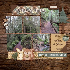 Into the Woods