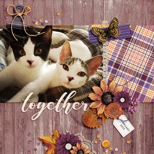 together