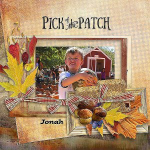 Pick of the patch