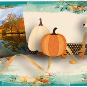 sign_nov