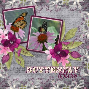 Butterfly Bliss