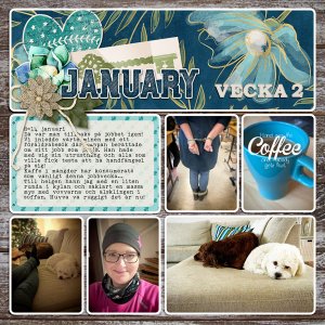 Week 2-2018