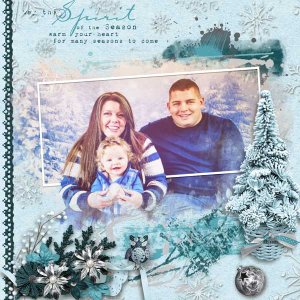Winter Memories
