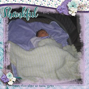 First Night Home