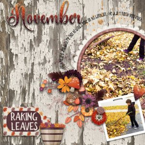 Raking Leaves