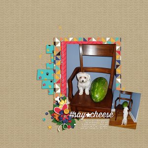 The Watermelon