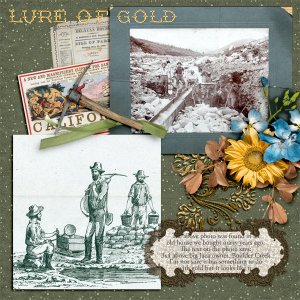 600-adbdesigns-gold-fever-pia-02
