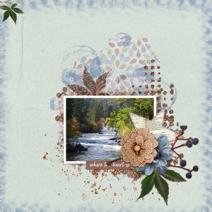 11-daily-download