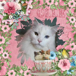 600-adb-designs-cherish-pia-01