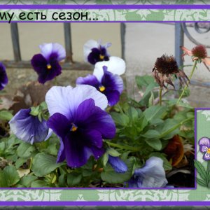To Everything There is a Season