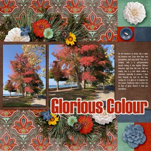 Glorious Colour
