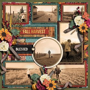 Fall Harvest