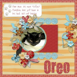 Oreo's Unhappy...