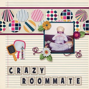 Crazy Roommate