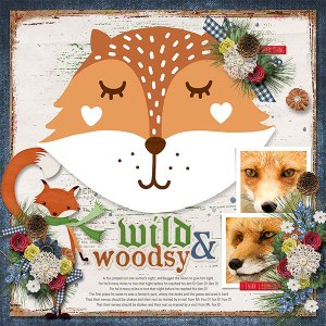 WILD + WOODSY