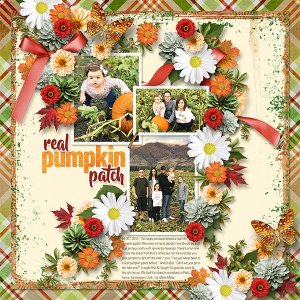 REAL PUMPKIN PATCH