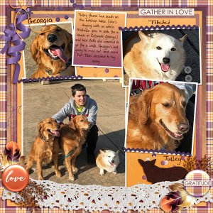 GSColorChal1118-TulleyWantsToWalk010918