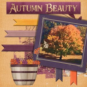 November 2018 Buffet Challenge