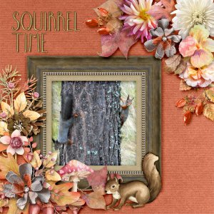 Squirrel-time