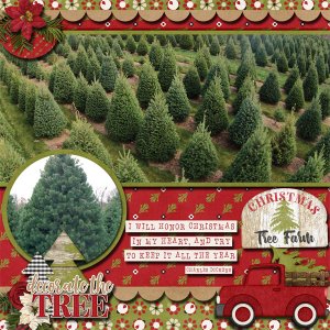 Christmas Tree Farm