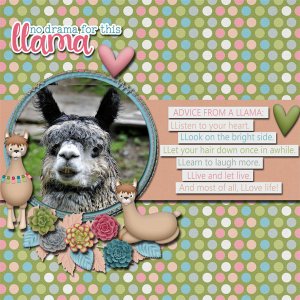 llama