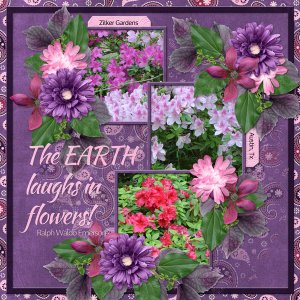 The EARTH laughs in flowers!