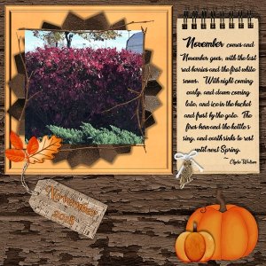 November 2018 Color Challenge