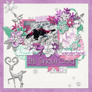 Frozen Wonder