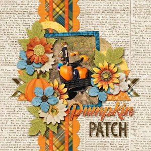 Pumpkin Patch