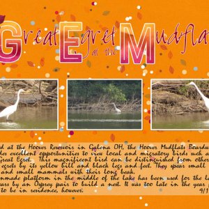 Great Egret at the Mudflats