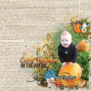 Pumpkin Patch