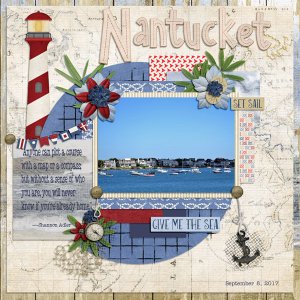 GSBrushChal1118-NantucketCove9817